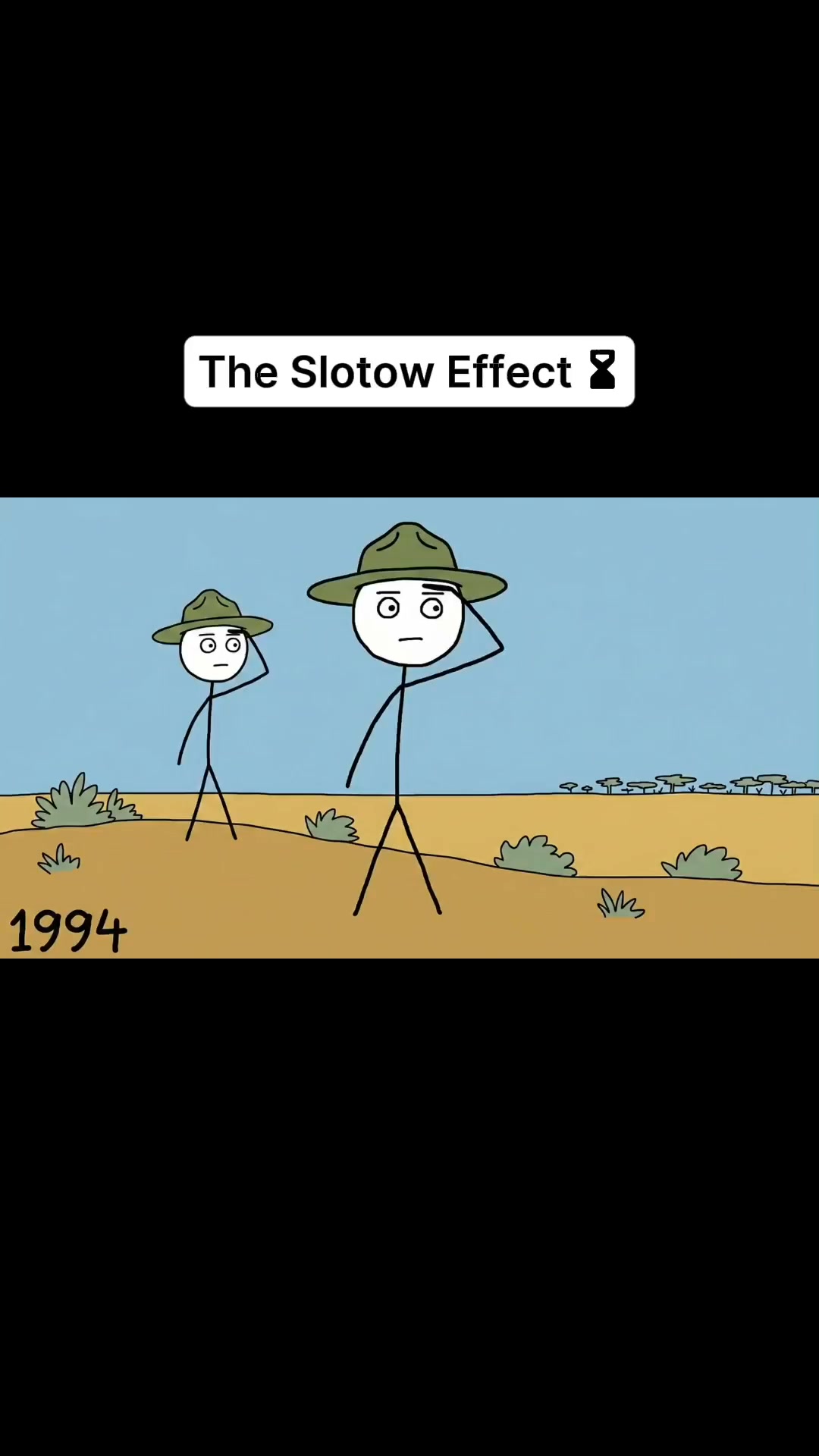 The Slotow Effect reel cover